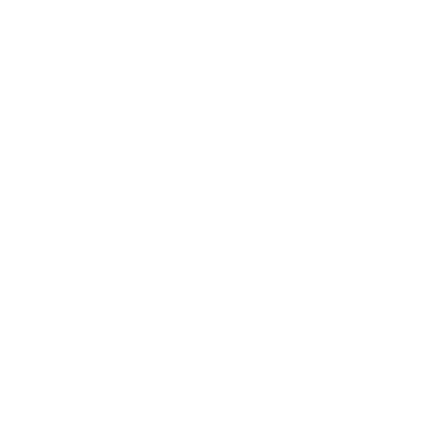 AccessDevs Company Logo